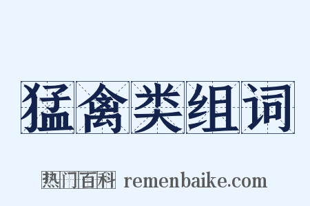 猛禽类组词是什么意思的图片